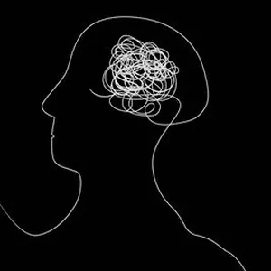 Describing Inner Experience?