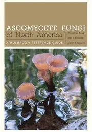 Ascomycete Fungi of North America