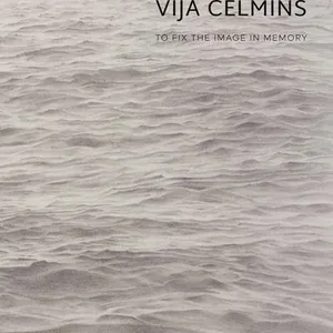 Vija Celmins