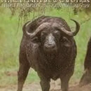 Death in a Lonely Land