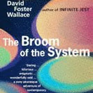 The Broom Of The System