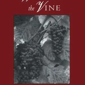 Wine and the Vine