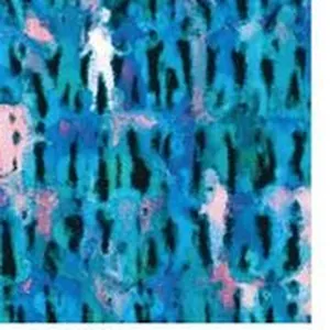 Feminist Criminology