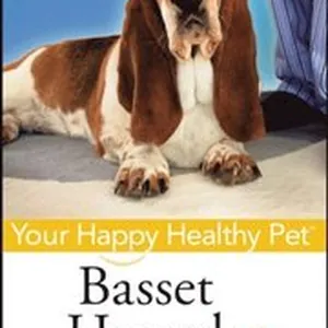 Basset Hound