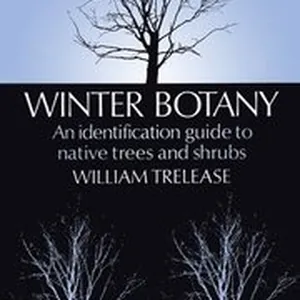 Winter Botany