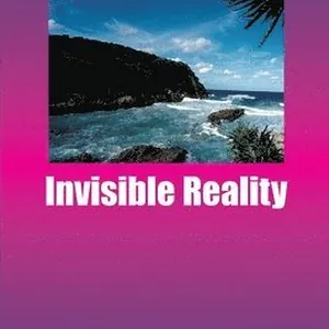 Invisible Reality