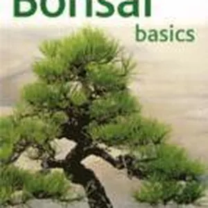 Bonsai Basics
