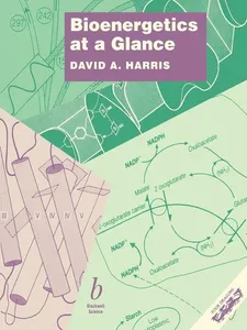 Bioenergetics at a Glance