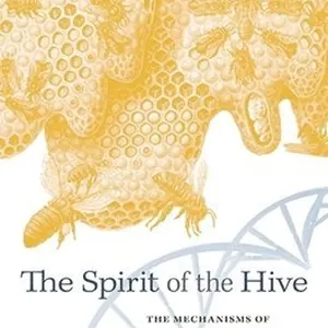 Spirit of the Hive
