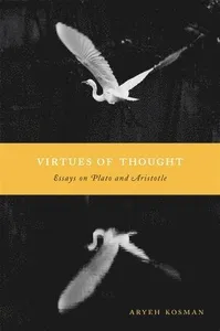 Virtues of Thought