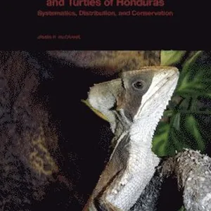 Lizards, Crocodiles, and Turtles of Honduras