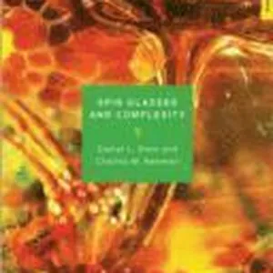 Spin Glasses and Complexity