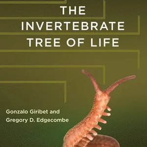 Invertebrate Tree of Life