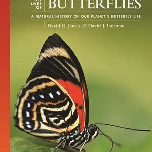 Lives of Butterflies