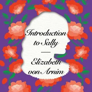 Introduction to Sally