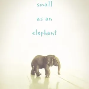 Small as an Elephant