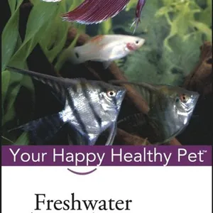 Freshwater Aquarium