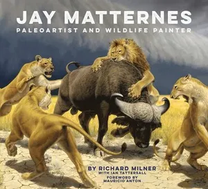Jay Matternes