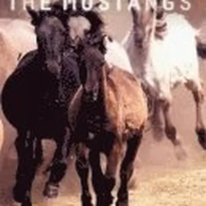Mustangs