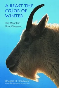 Beast the Color of Winter