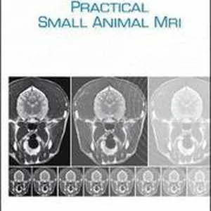 Small Animal MRI