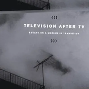 Television after TV