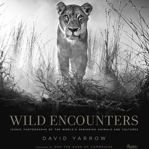 Wild Encounters