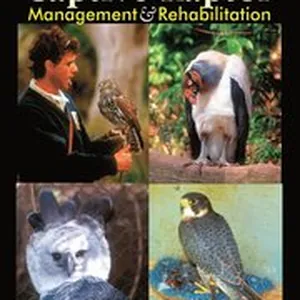 Captive Raptor Management & Rehabilitation