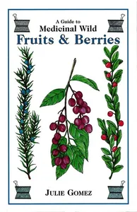 Guide to Medicinal Wild Fruits & Berries