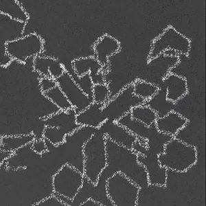 Joan Jonas Is on Our Mind