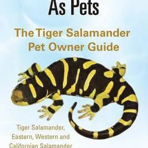 Tiger Salamanders As Pets