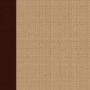 Foch - The Man Of Orleans