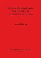 Lithics in the Scandinavian Late Bronze Age