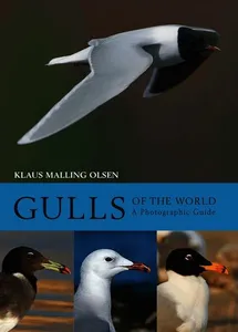 Gulls of the World