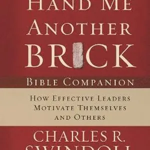 Hand Me Another Brick Bible Companion