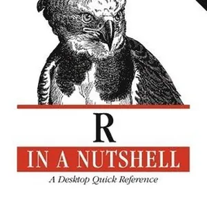 R in a Nutshell