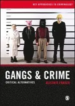 Gangs & Crime