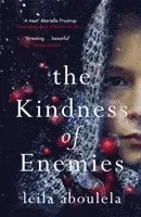 Kindness of Enemies