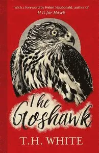 Goshawk