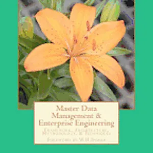 Master Data Management & Enterprise Engineering
