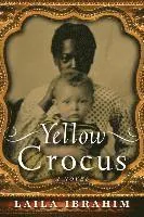 Yellow Crocus