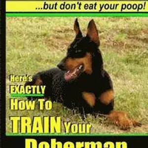 Doberman Pinscher, Doberman Pinscher Training AAA AKC: Think Like a Dog, but Don't Eat Your Poop! Doberman Pinscher Breed Expert Training: Here's EXAC