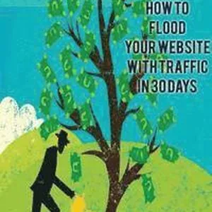 Beginners Guide to Digital Marketing: How To Flood Your Website With Traffic in 30 days