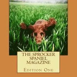 The Sprocker Spaniel Magazine