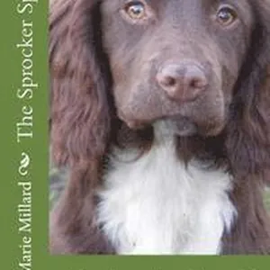 The Sprocker Spaniel - extended edition: Everything you need to know from pup to dog