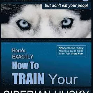 Siberian Husky Training Think Like a Dog...but Don't Eat Your Poop!: Here's EXACTLY How To Train Your SIBERIAN HUSKY