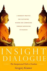 Insight Dialogue