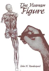 Human Figure