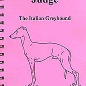YOU BE THE JUDGE - THE ITALIAN GREYHOUND