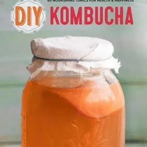 DIY Kombucha